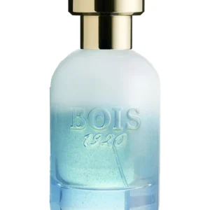 Bois 1920