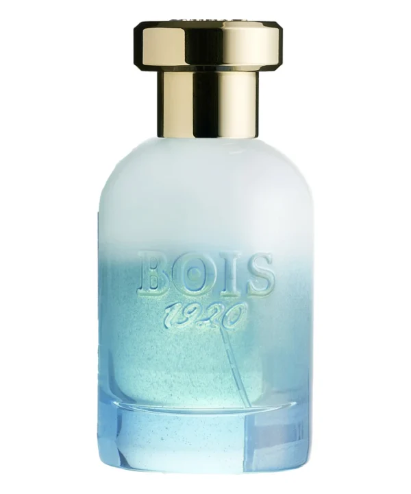 Bois 1920